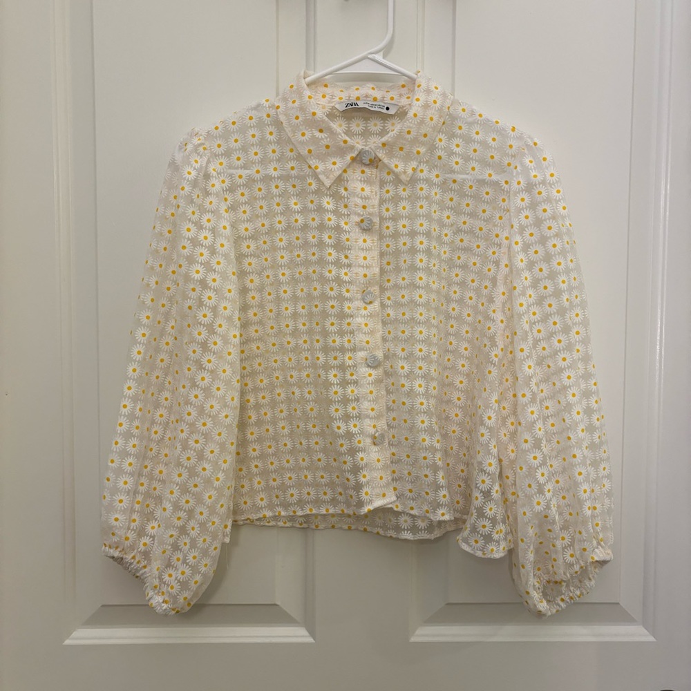 Zara Organza Shirt